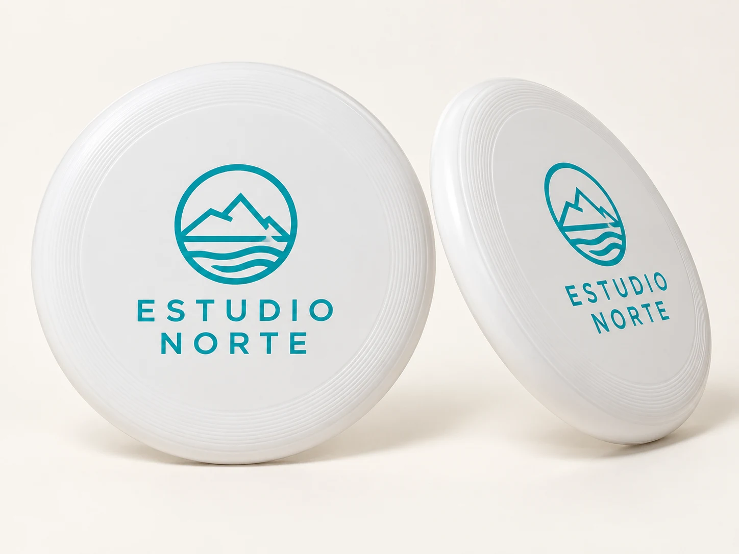 Frisbee reciclado de 216 mm